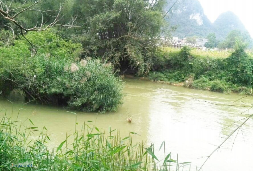 小摄影新手拍风景 - 靖西市·靖西网