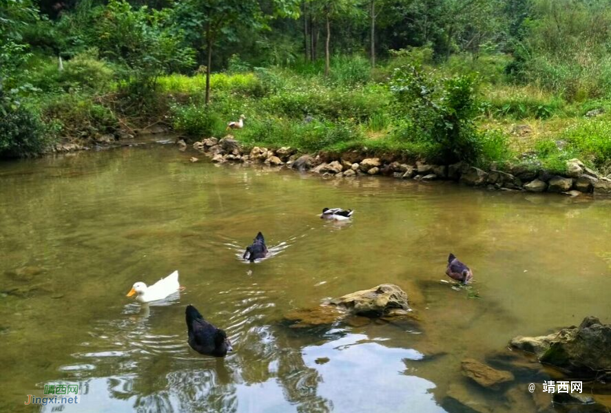 小摄影新手拍风景 - 靖西市·靖西网