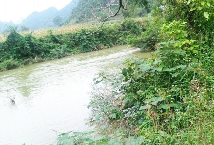 小摄影新手拍风景 - 靖西市·靖西网