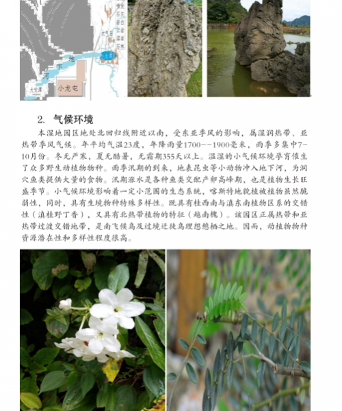 龙潭国家湿地公园湿地生物资源  (个人知产论文) - 靖西市·靖西网