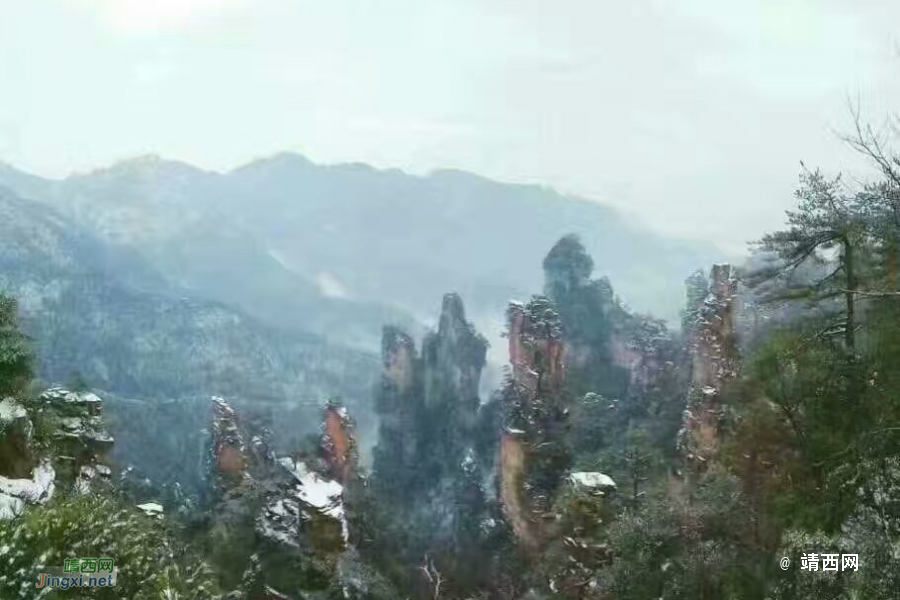 和同事的张家界上山下海游记 - 靖西市·靖西网