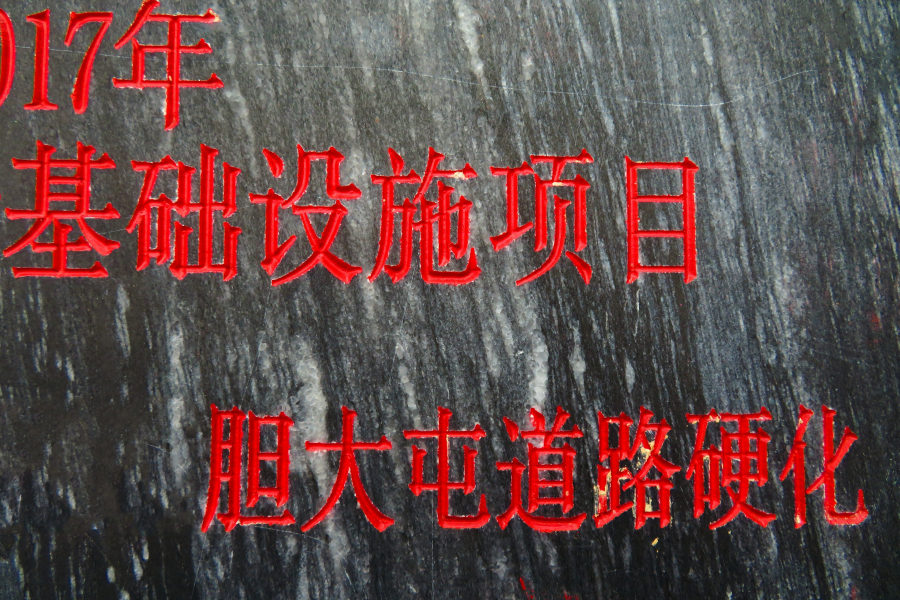 靖西市胆大屯，这个屯名字要火了！ - 靖西市·靖西网