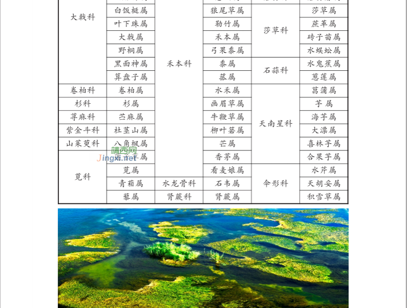 龙潭国家湿地公园湿地生物资源  (个人知产论文) - 靖西市·靖西网