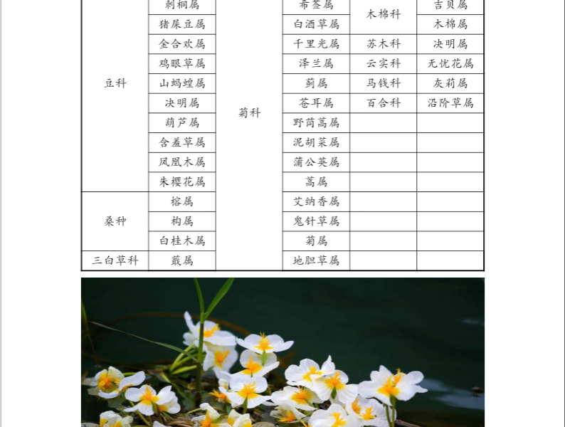 龙潭国家湿地公园湿地生物资源  (个人知产论文) - 靖西市·靖西网