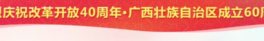 扬帆新时代，锦绣新广西   百色篇。 - 靖西市·靖西网