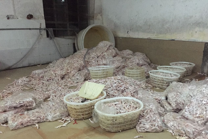 海拔最高的较量 - 靖西市·靖西网