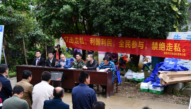 海拔最高的较量 - 靖西市·靖西网