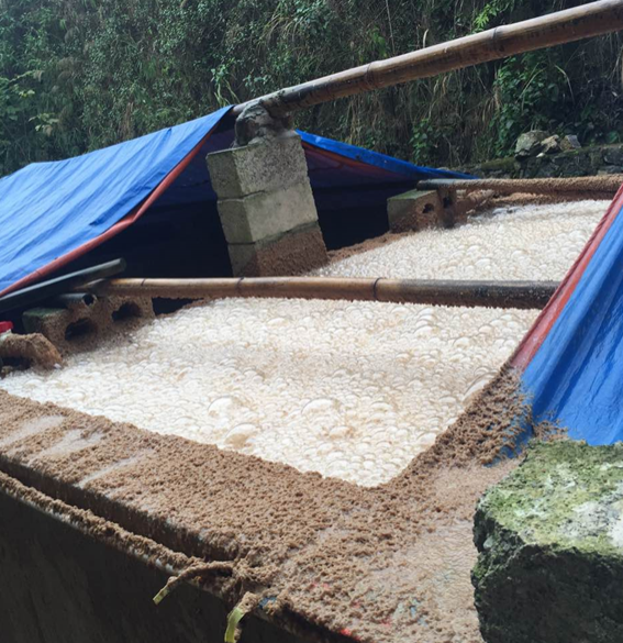 海拔最高的较量 - 靖西市·靖西网