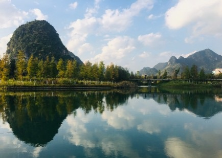 旧州花海醉游人，田园美景在靖西 - 靖西市·靖西网