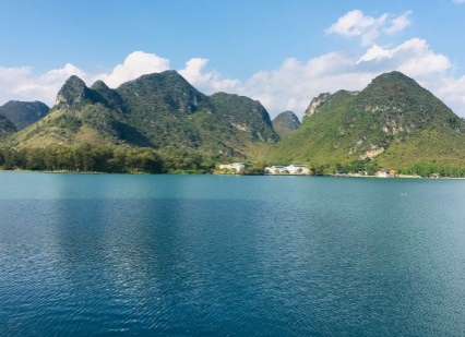 旧州花海醉游人，田园美景在靖西 - 靖西市·靖西网