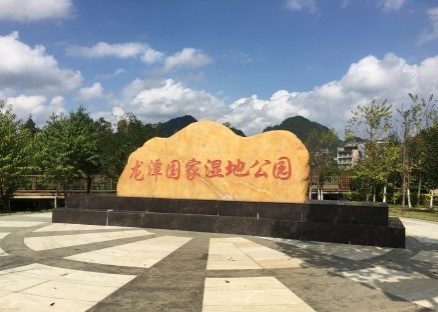 旧州花海醉游人，田园美景在靖西 - 靖西市·靖西网