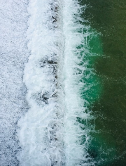 旧州花海醉游人，田园美景在靖西 - 靖西市·靖西网