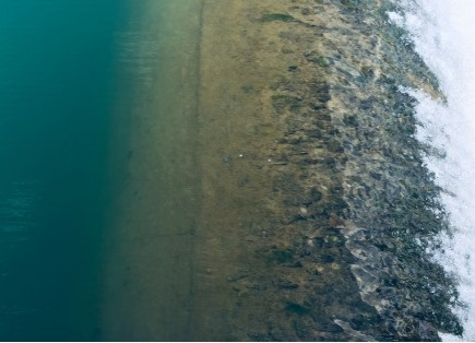 旧州花海醉游人，田园美景在靖西 - 靖西市·靖西网