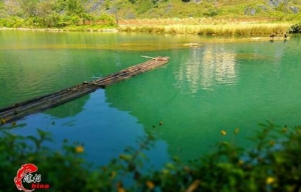 旧州花海醉游人，田园美景在靖西 - 靖西市·靖西网