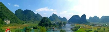 旧州花海醉游人，田园美景在靖西 - 靖西市·靖西网