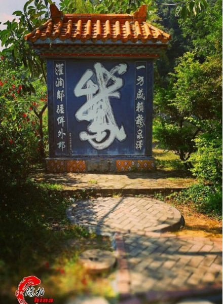 旧州花海醉游人，田园美景在靖西 - 靖西市·靖西网