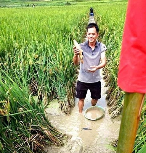 南坡乡：高山稻田养鱼600亩 有效助推脱贫攻坚 - 靖西市·靖西网
