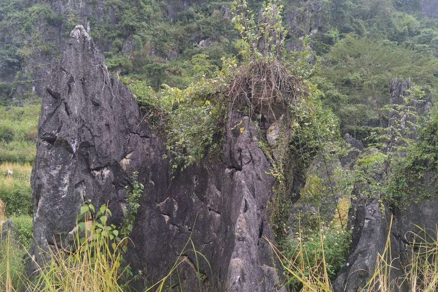 手游岳圩石林 - 靖西市·靖西网