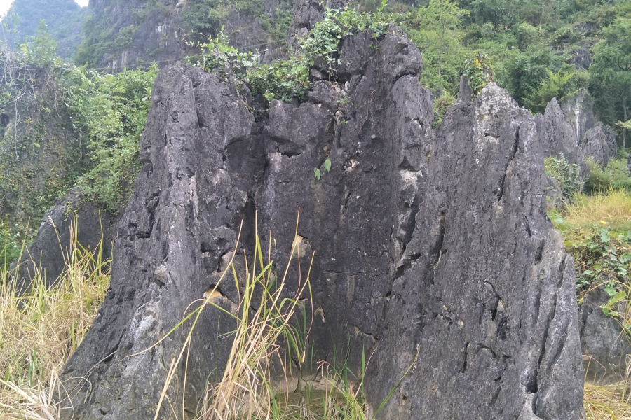 手游岳圩石林 - 靖西市·靖西网