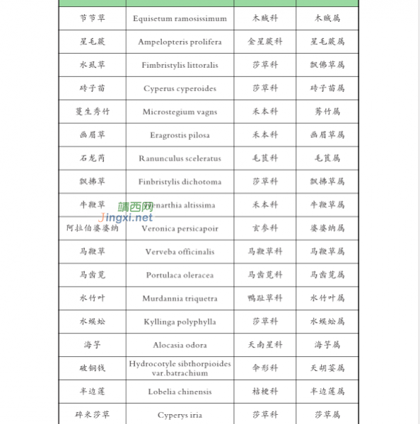 龙潭国家湿地公园湿地生物资源  (个人知产论文) - 靖西市·靖西网