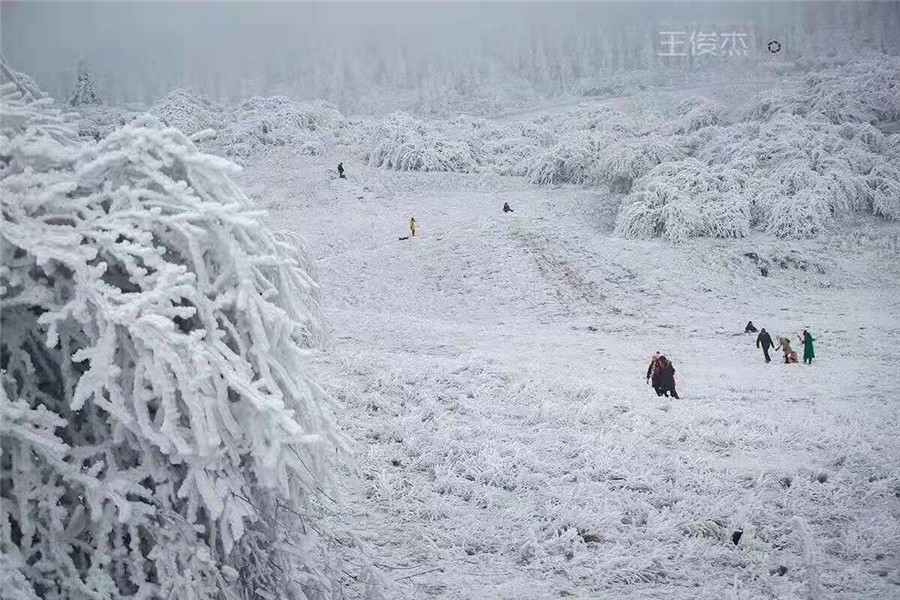 重庆仙女山终迎降雪，高清雪景美图养眼！ - 靖西市·靖西网