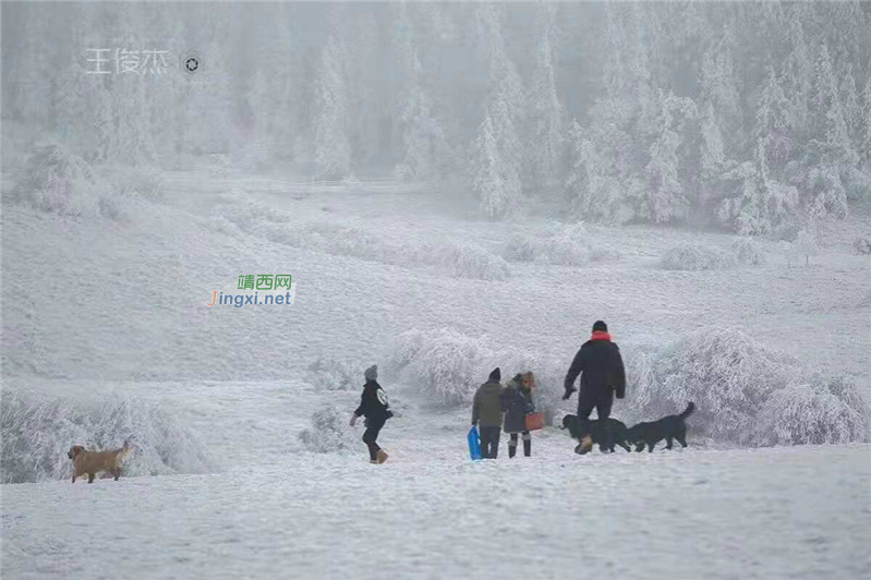 重庆仙女山终迎降雪，高清雪景美图养眼！ - 靖西市·靖西网