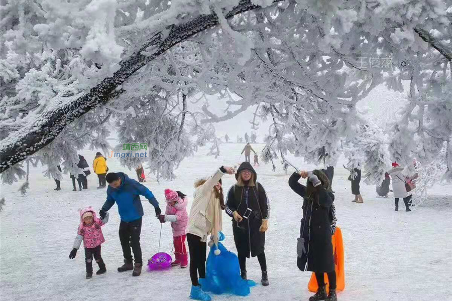 重庆仙女山终迎降雪，高清雪景美图养眼！ - 靖西市·靖西网