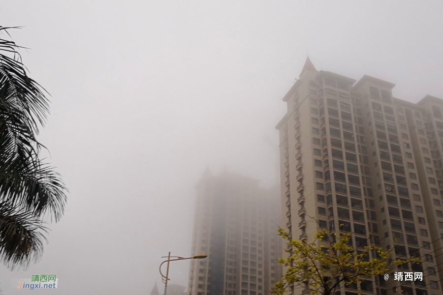 大雾再次来袭靖西，大家注意保养好家电 - 靖西市·靖西网