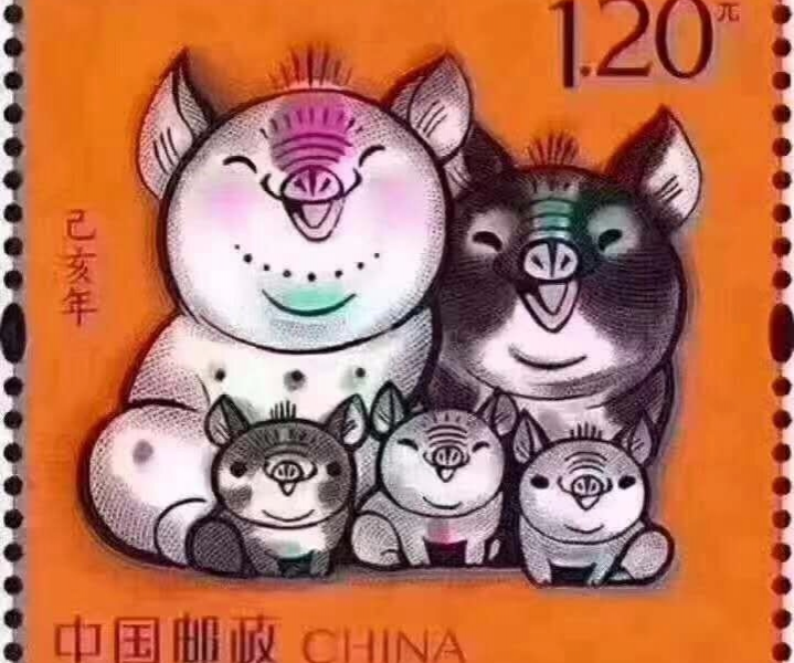 今天，猪，看看吧，猪年快乐! - 靖西市·靖西网