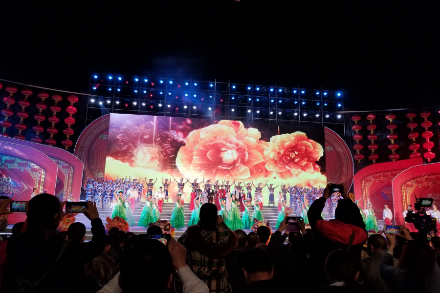 花开新时代—2019百色市各界群众新春大联欢昨上演。 - 靖西市·靖西网