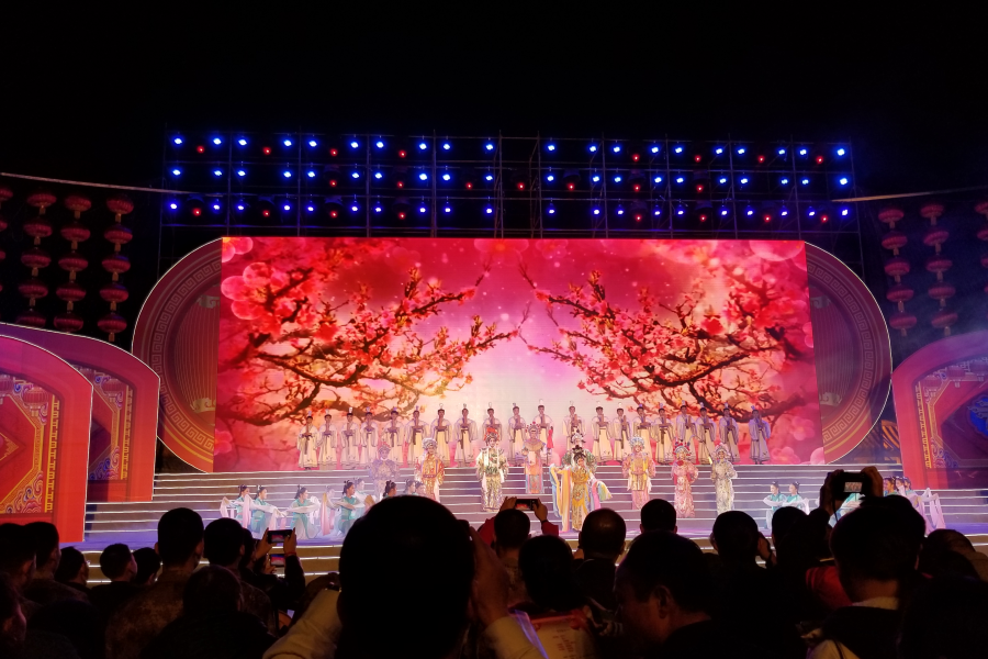 花开新时代—2019百色市各界群众新春大联欢昨上演。 - 靖西市·靖西网