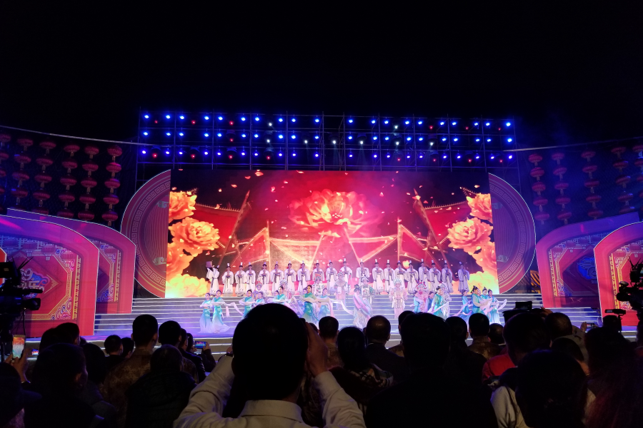 花开新时代—2019百色市各界群众新春大联欢昨上演。 - 靖西市·靖西网