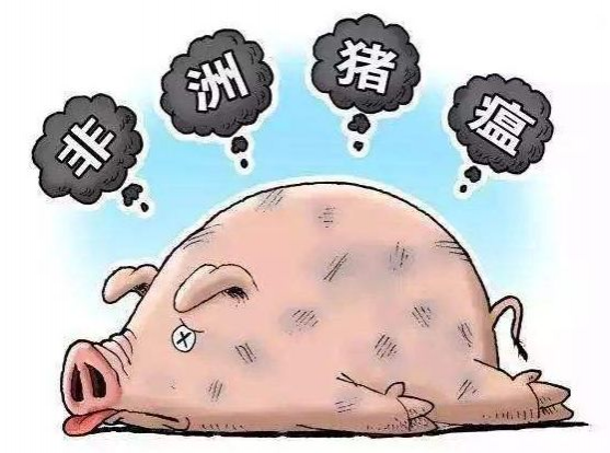 百色3家养猪户用泔水喂猪被处罚1000元 - 靖西市·靖西网