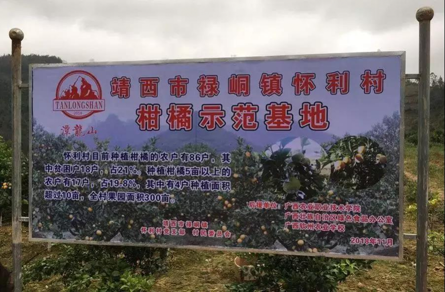 禄峒人，厉害啦！靖西的机场真的要来了 - 靖西市·靖西网