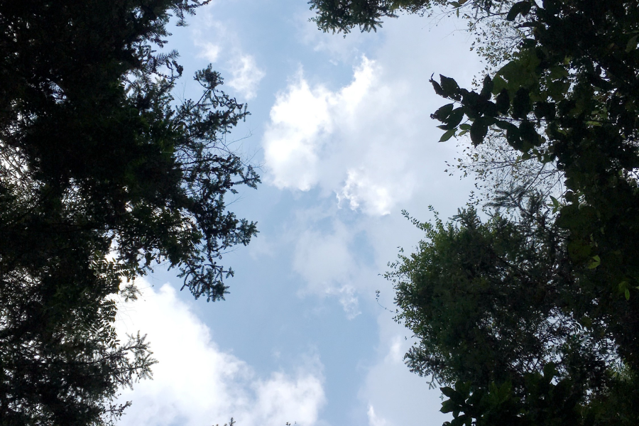 五岭秋色 - 靖西市·靖西网