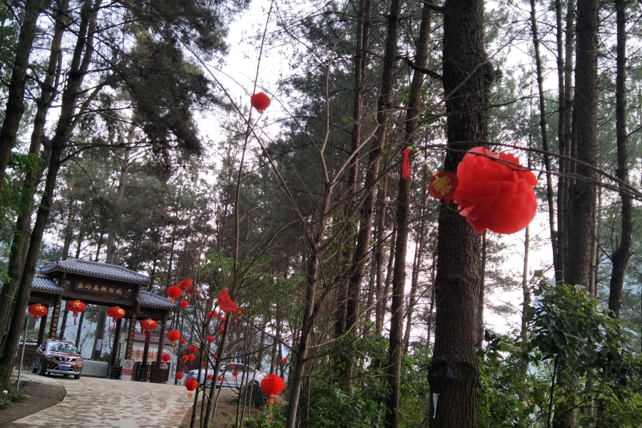 五岭秋色 - 靖西市·靖西网