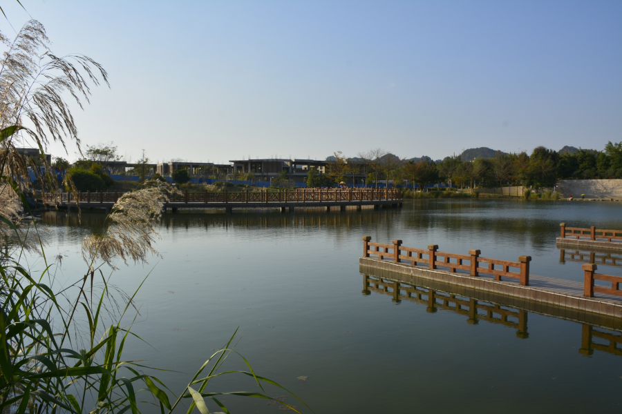 五岭秋色 - 靖西市·靖西网