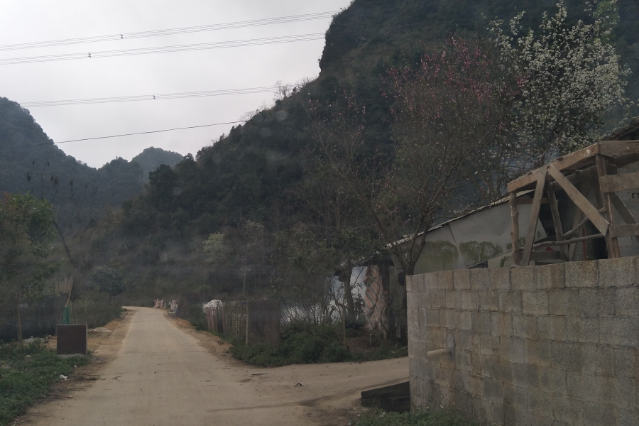 情人节在靖西进洞的感觉很美妙。（组图） - 靖西市·靖西网