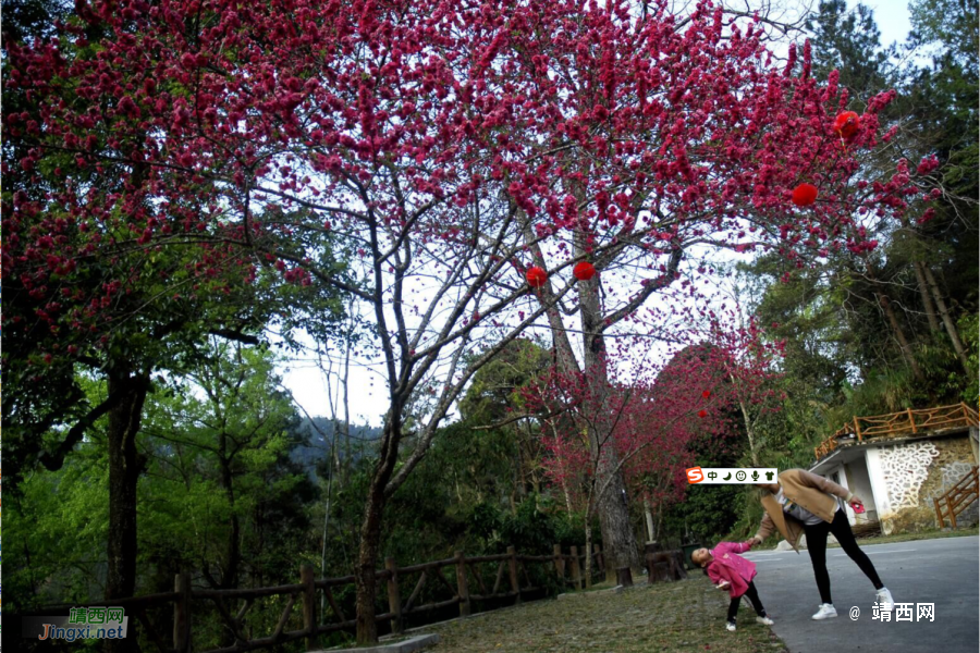 情人节在靖西进洞的感觉很美妙。（组图） - 靖西市·靖西网