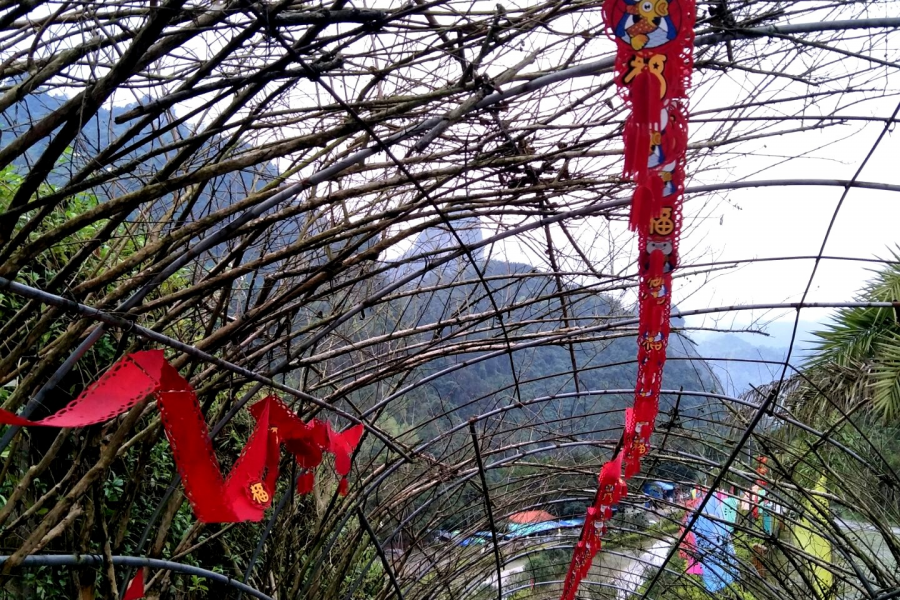 雨游念八部落 - 靖西市·靖西网