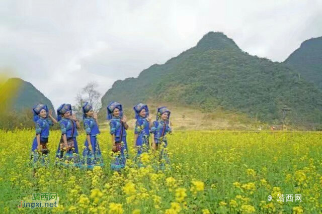 靖西油菜花海 - 靖西市·靖西网