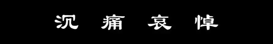 因公殉职靖西民警黄安永同志遗体告别仪式在百色市殡仪馆举行 - 靖西市·靖西网