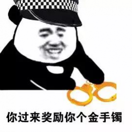 抓捕现场曝光！田东警方成功侦破一起特大毒品案，抓获23名嫌疑人！ - 靖西市·靖西网