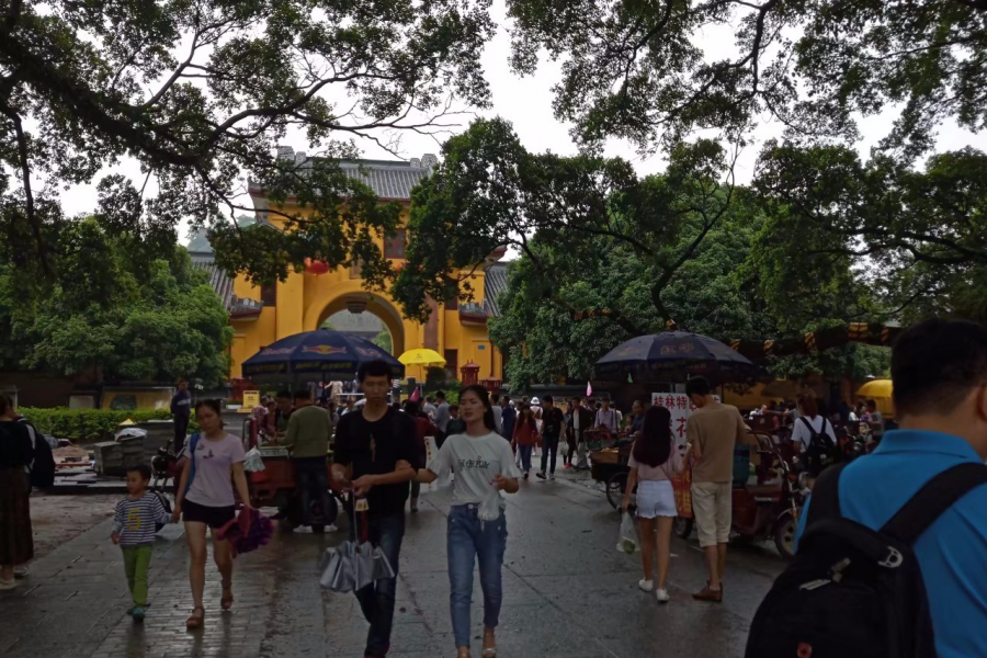 百色人真爱跑去桂林，一个星期每隔一天一班；难道山区爱看另一个山区？ - 靖西市·靖西网