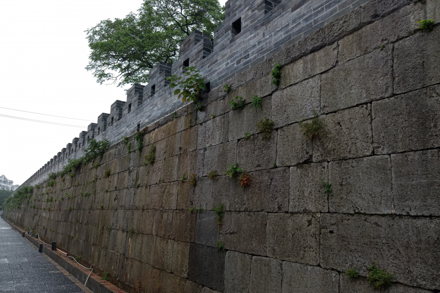 百色人真爱跑去桂林，一个星期每隔一天一班；难道山区爱看另一个山区？ - 靖西市·靖西网