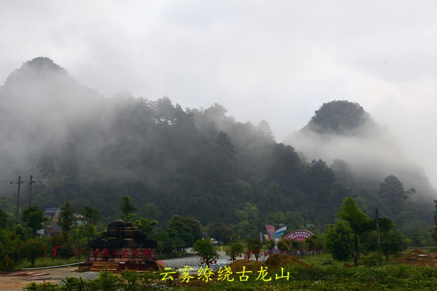 古龙山云雾缭绕，美如仙境 - 靖西市·靖西网