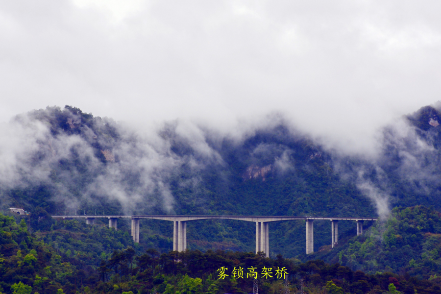 古龙山云雾缭绕，美如仙境 - 靖西市·靖西网