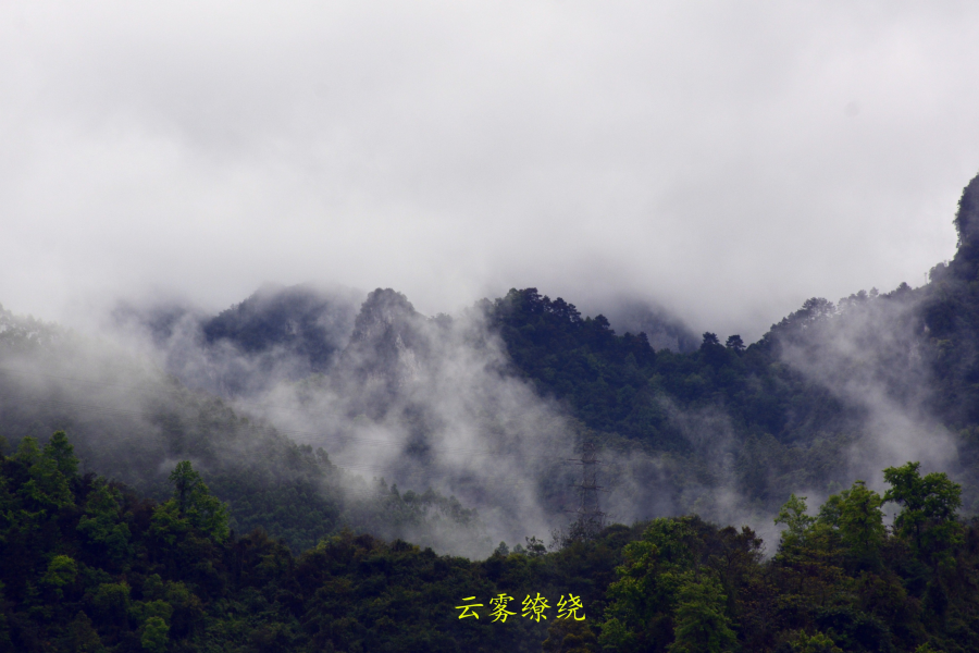 古龙山云雾缭绕，美如仙境 - 靖西市·靖西网