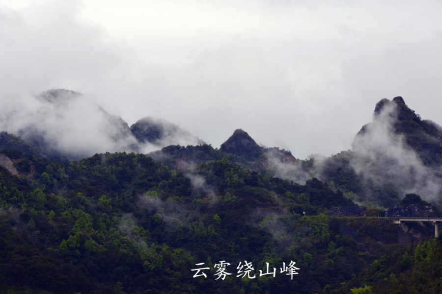 古龙山云雾缭绕，美如仙境 - 靖西市·靖西网