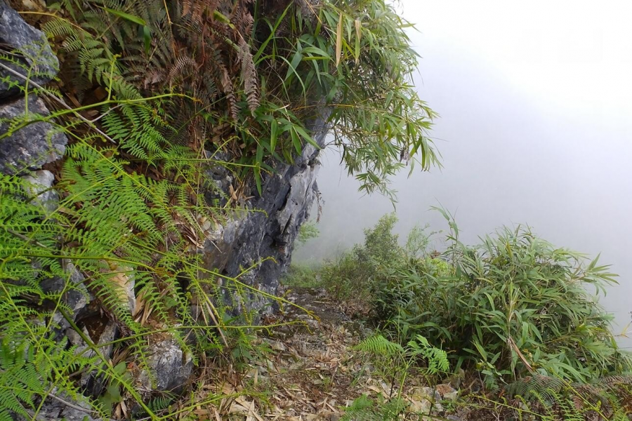 葛麻炮台四年前和现在的变化 - 靖西市·靖西网